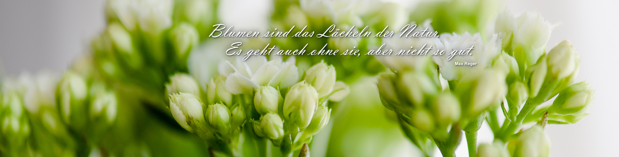 Floristik Impression 3